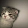 Profilbild von tbrry