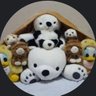 MASAHIROTV profil fotoğrafı