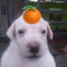 몽치..'s profile picture