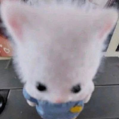 immojong's profile picture