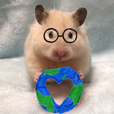 지구🌏's profile picture