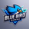 Profilbild von BlueBird Gaming 篮鸟人🐦