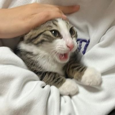 ์๋=^..^='s profile picture