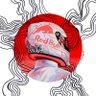 ⵕⴰⵞⵉⵎ|M4X✮✮✮✮'s profile picture