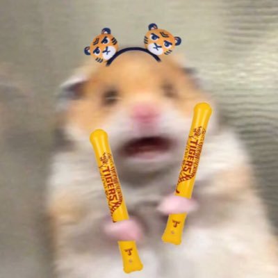 지 구's profile picture