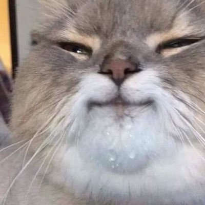 notfriendwong's profile picture