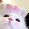 𝒫𝓇𝒾𝓃𝒸ℯ𝓈𝓈ℒ*ੈ♡🌸 profil fotoğrafı