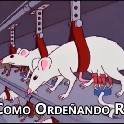 ApoyamosArgi's profile picture