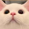 Profilbild von ☆ひろと☆