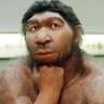 Фото профиля Canadian Neanderthal