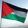 Palestinian Lover's profile picture