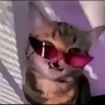 Profilbild von resw