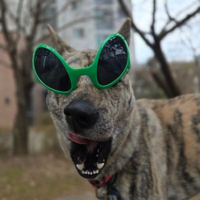 오호랑 드 와일드바디 초코마블링케이크🐯's profile picture