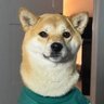 Profilbild von lights on