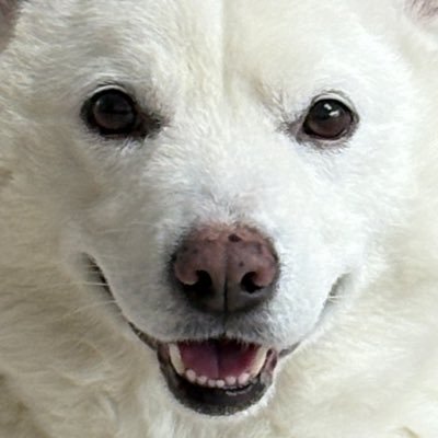 🐻❄️내이름은 윤석이🐻❄️'s profile picture