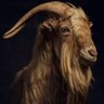 Draw Hunter 🐐 profil fotoğrafı