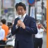 Japan is very safe 的头像