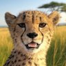 FirstIppo profil fotoğrafı