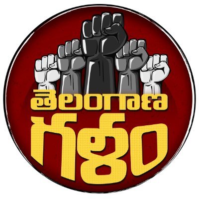 TelanganaGalam_'s profile picture