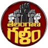 Telangana Galam 的头像