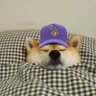 Suraj's profile picture
