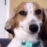 Profilbild von Chris
