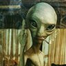 Siberius profil fotoğrafı