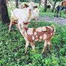 Makenzii profil fotoğrafı