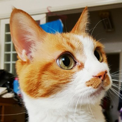 ssullosso's profile picture