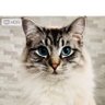Jude profil fotoğrafı