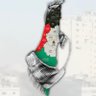 EMAD MANSOUR 的头像