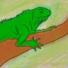 The Honest Iguana profil fotoğrafı