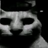 Фото профиля boobytrap🧨