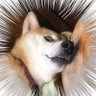 Profilbild von すときゃ