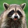 TheLivingBubba's profile picture
