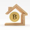 Coin Evi 的头像