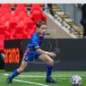 paul whitehead's profile picture