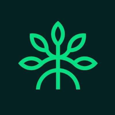 MangroveDAO's profile picture