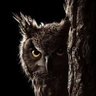 ENIGMATIC skenky's profile picture