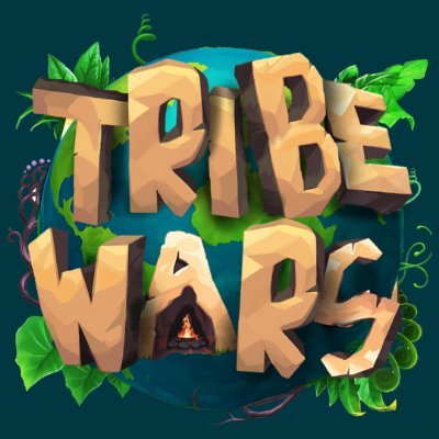 TRIBE WARS 🗿 P2E's profile picture