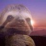 Profilbild von Bill Rowe
