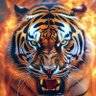 Profilbild von NMR نمر 🐅