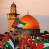 FREE PALESTİNE 🇹🇷🇵🇸🇵🇰 profil fotoğrafı