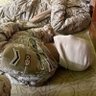 Фото профиля لا باس يالقلب الشجاع