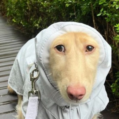 Ravage's profile picture