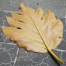隔壁老王 profil fotoğrafı