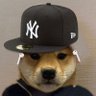 Josh 🧬's profile picture