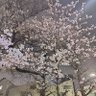 雪(huyusarara)❄️🧡🩷🩵🤍🌼🎀🦋's profile picture