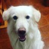 Profilbild von serena