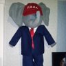 The Real Donald J Trunk's profile picture